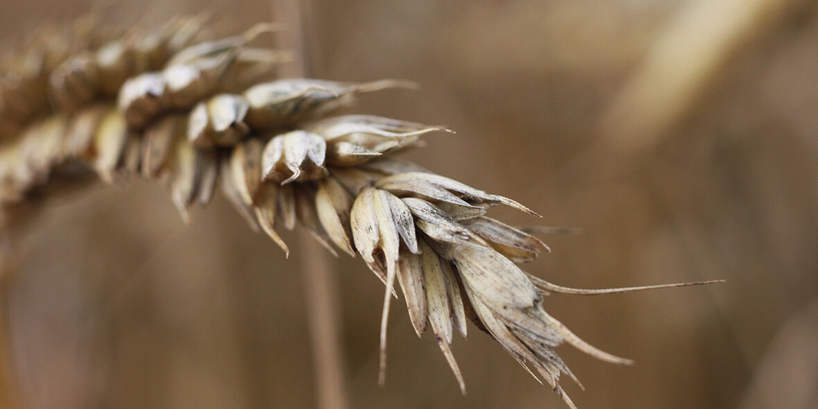 UNEP plant den Weg über 1,5 Grad hinaus
