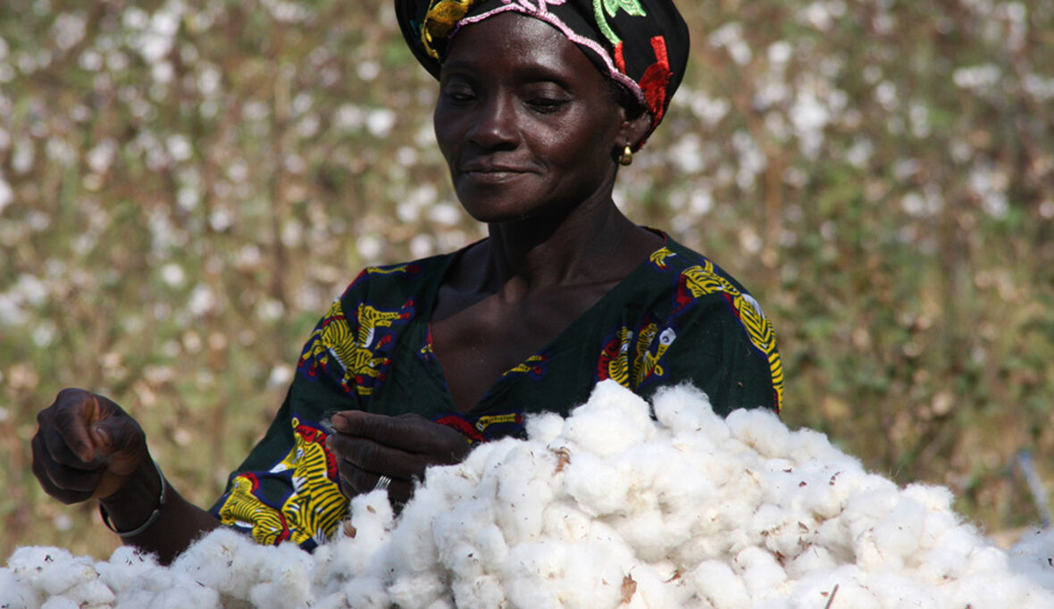U.S. Cotton Trust Protocol als Standard für nachhaltige Baumwolle anerkannt