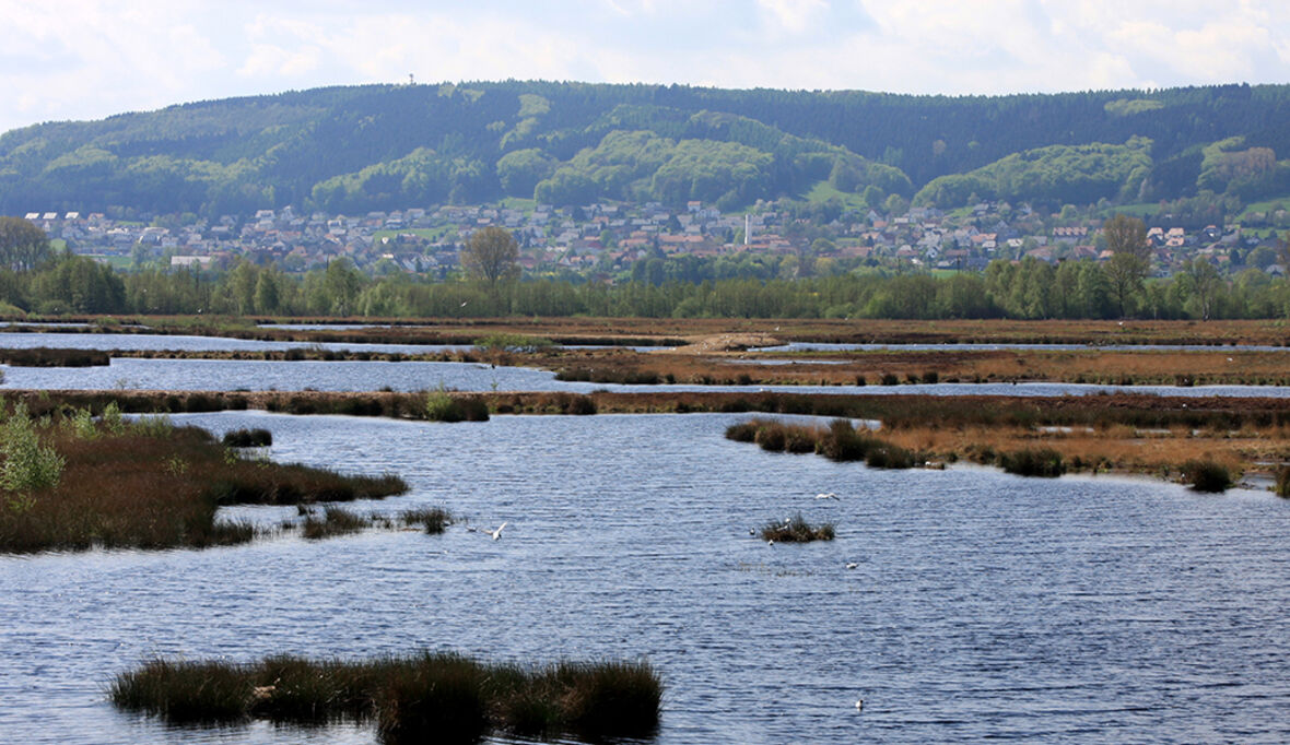 Moorwende mit Milliarden: Deutschlands ehrgeiziger Anlauf gegen den Torfbrand