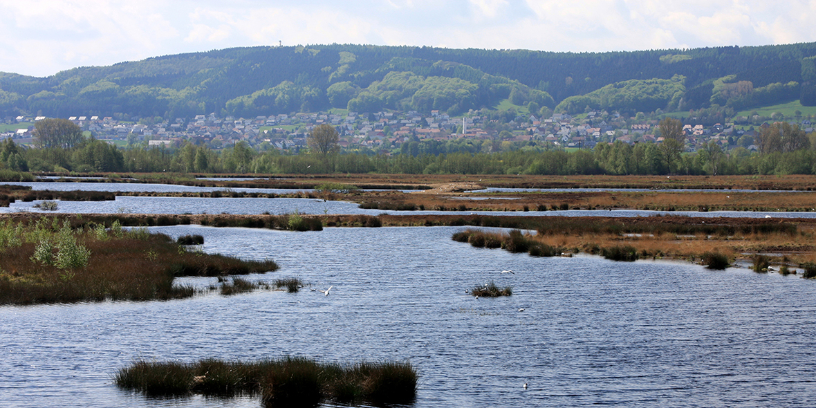 Moorwende mit Milliarden: Deutschlands ehrgeiziger Anlauf gegen den Torfbrand