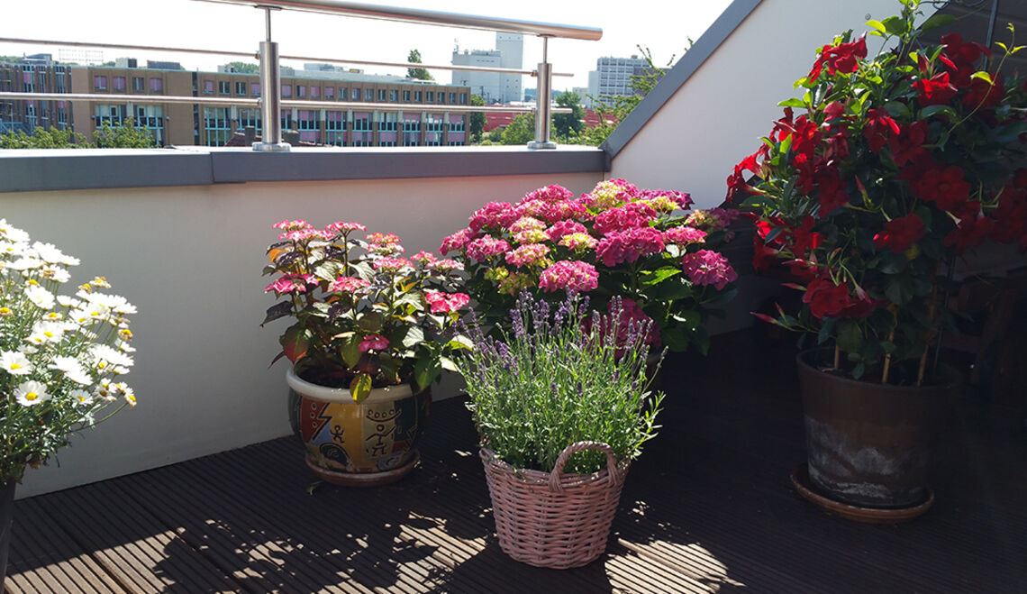 Die Mehrheit der Deutschen macht Urlaub zu Hause