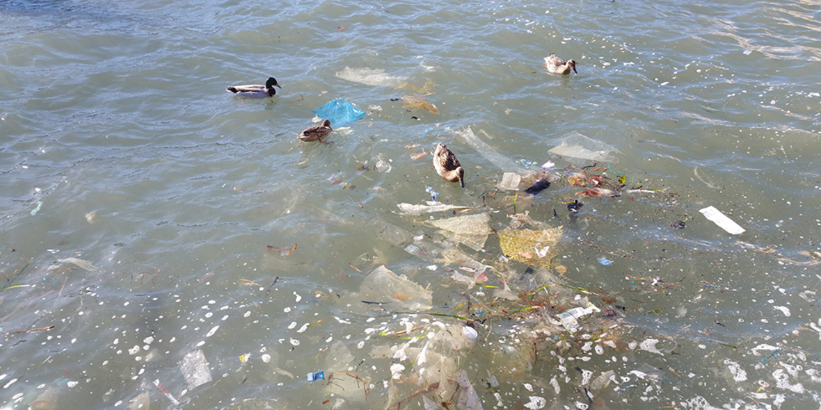 Plastikmüll in Flüssen gefährlicher als gedacht