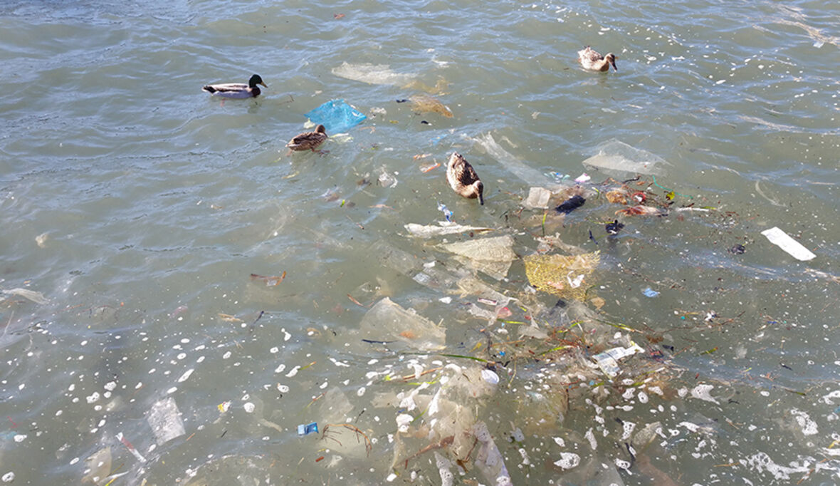 Mikroplastik in Lebensmitteln – viele ungeklärte Fragen 