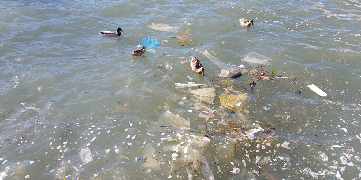 Mikroplastik in Lebensmitteln – viele ungeklärte Fragen 