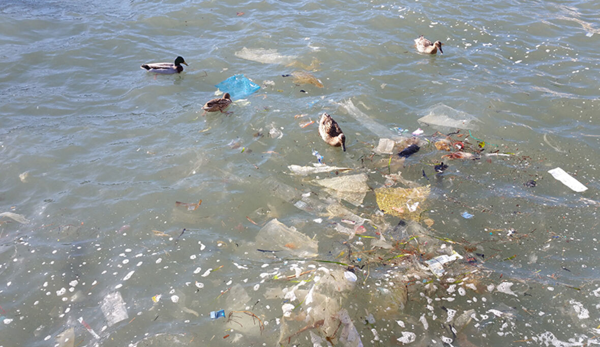 Plastik – wie eine gute Idee eine böse Entwicklung nahm