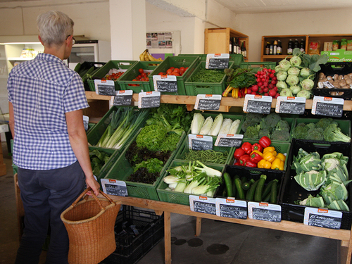 Auf dem Demeter-Bauernhof Entrup kauft man nachhaltig Gemüse ein.