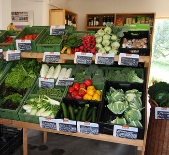 Auf dem Demeter-Bauernhof Entrup kauft man nachhaltig Gemüse ein.