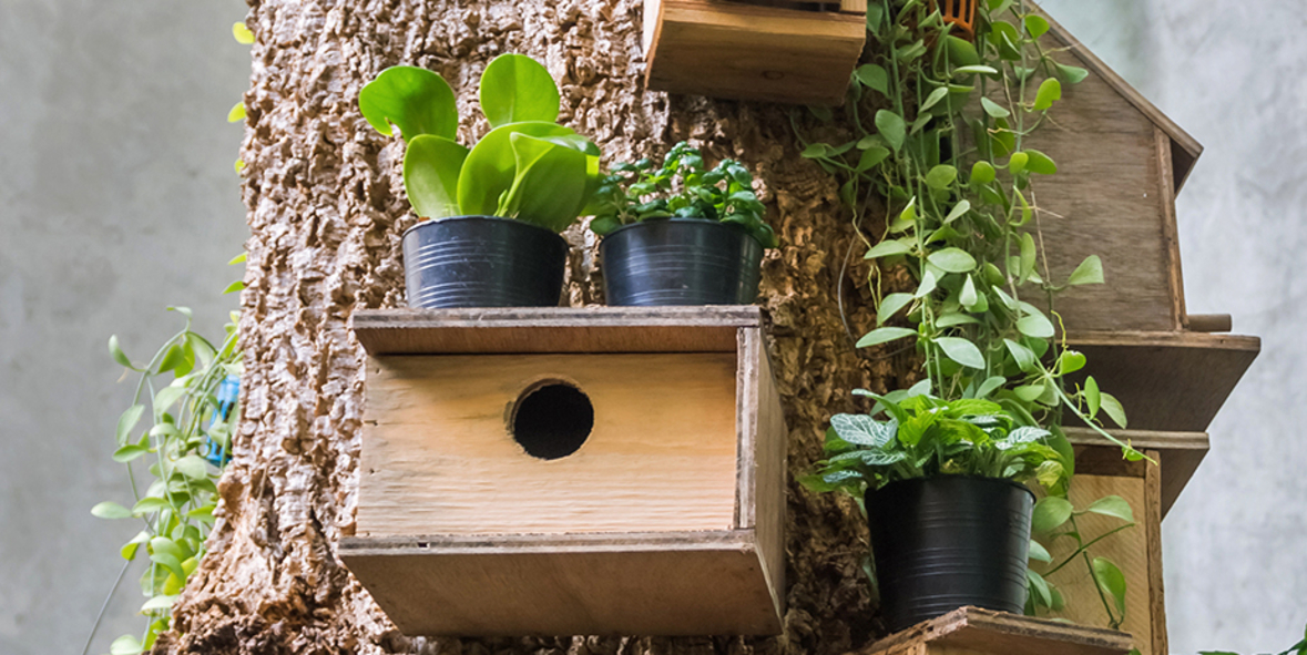 So wird auch ihr Garten zum Vogelparadies