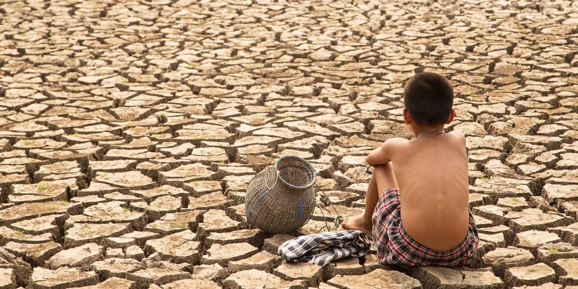 Wie gesunde Böden das Klima retten könnten