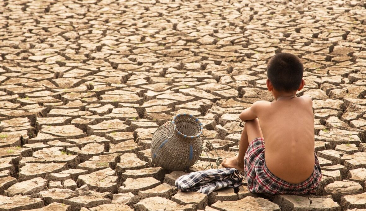 Wie gesunde Böden das Klima retten könnten
