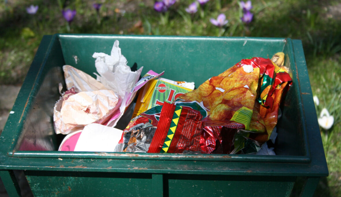 Eine Billion Dollar im Müll: Welttag für Zero Waste rückte Lebensmittelverschwendung in den Fokus