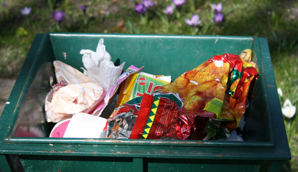 Lebensmittel: Das große Wegschmeißen