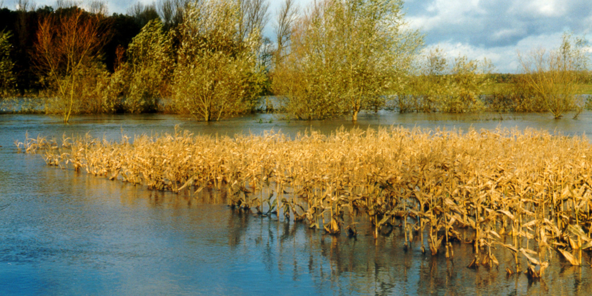 2050 doppelt so viele Überflutungen