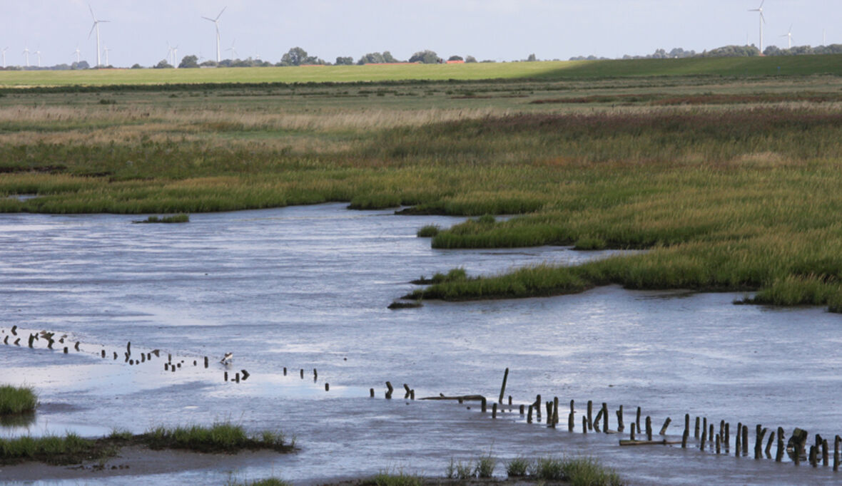 Der Meeresspiegel an Nord- und Ostseeküste steigt