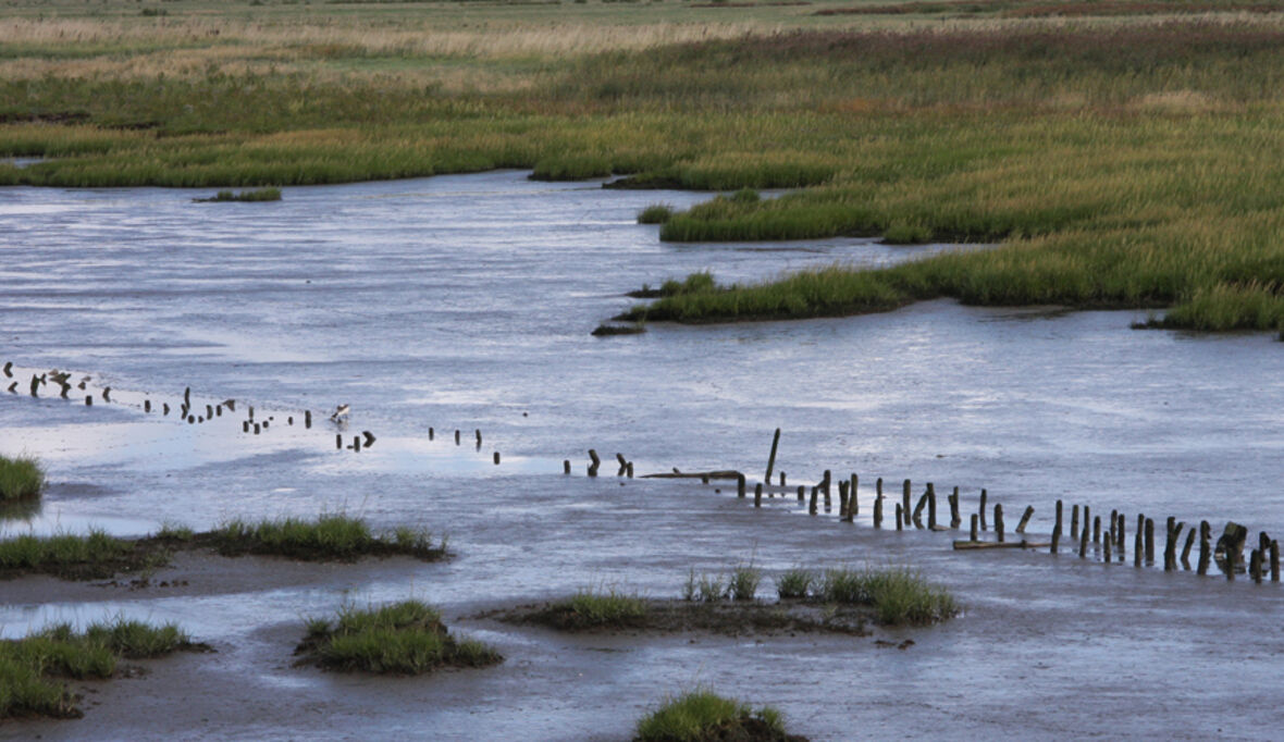 Klimabericht für die Nordseeregion erschienen