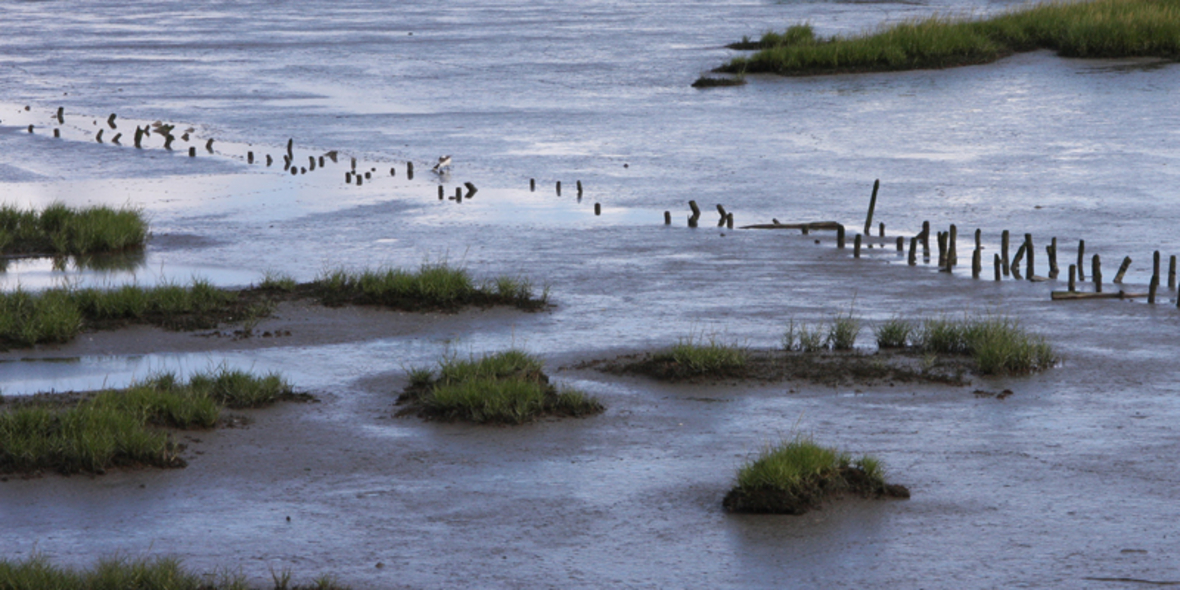Löst der Ozean die Rohstoff-Probleme der Zukunft?