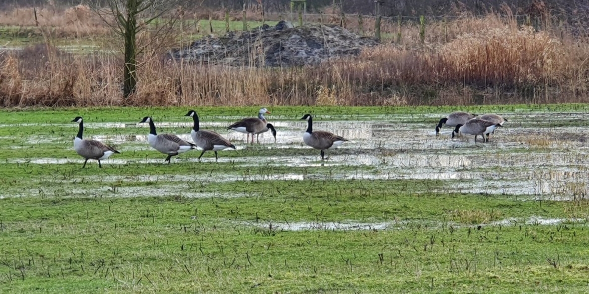 Vom Wissen zum Handeln