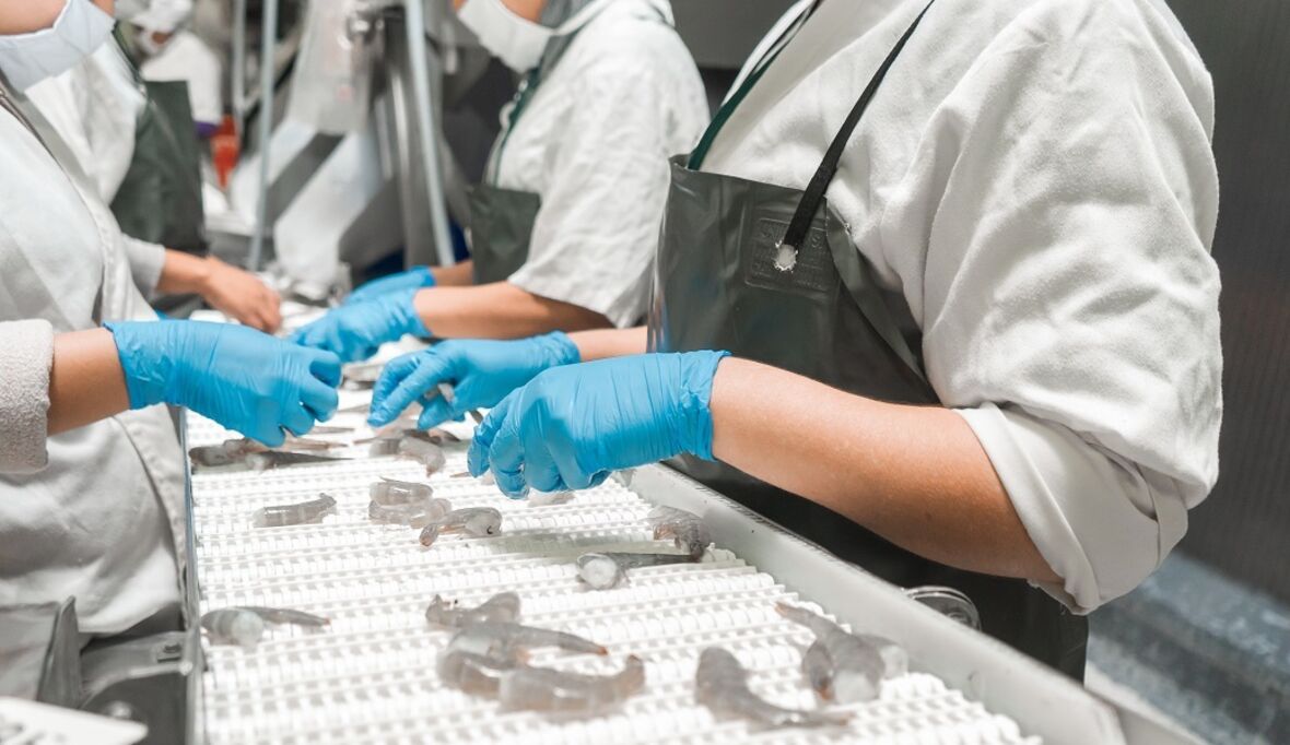 Lieferketten am Limit: Menschenrechte werden zum harten Wirtschaftsfaktor