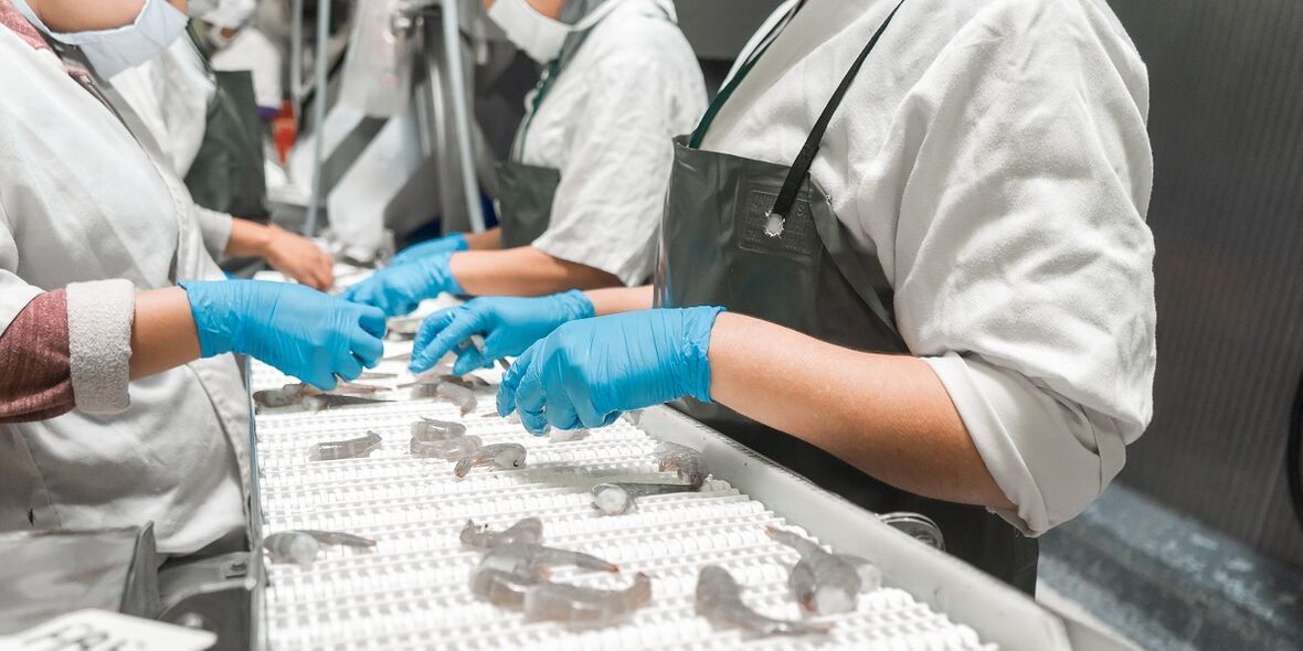 Lieferketten am Limit: Menschenrechte werden zum harten Wirtschaftsfaktor