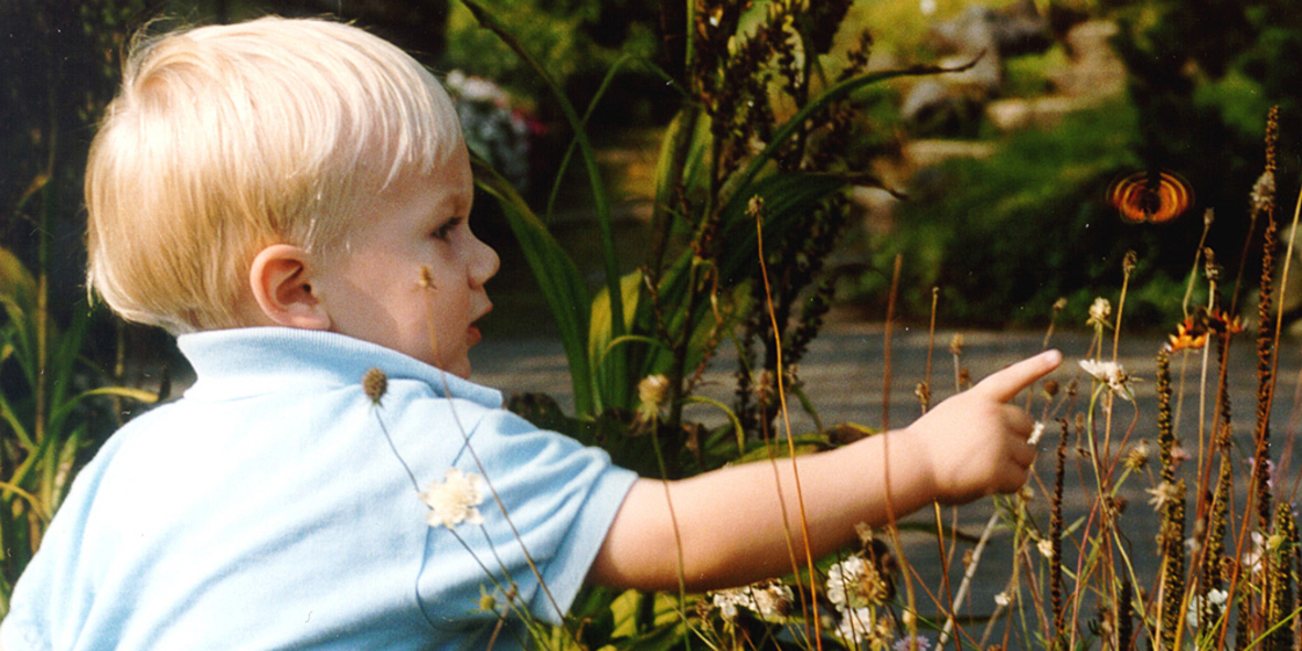 Onlineangebot informiert über Nationalparks