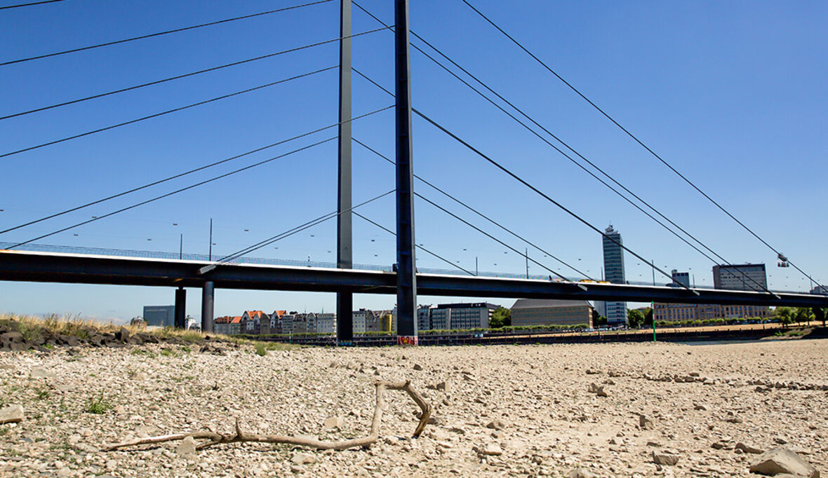 Wenn die Hitze bleibt: Ein Handbuch für die neue Normalität