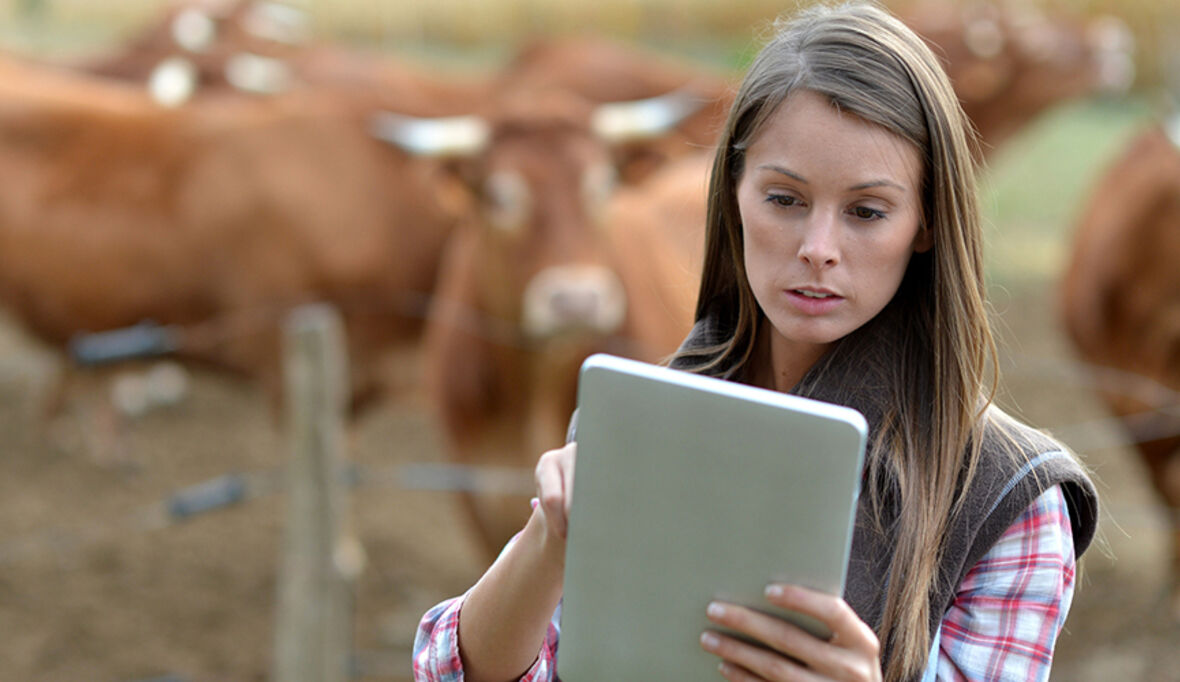 Wir brauchen grünes Wachstum!