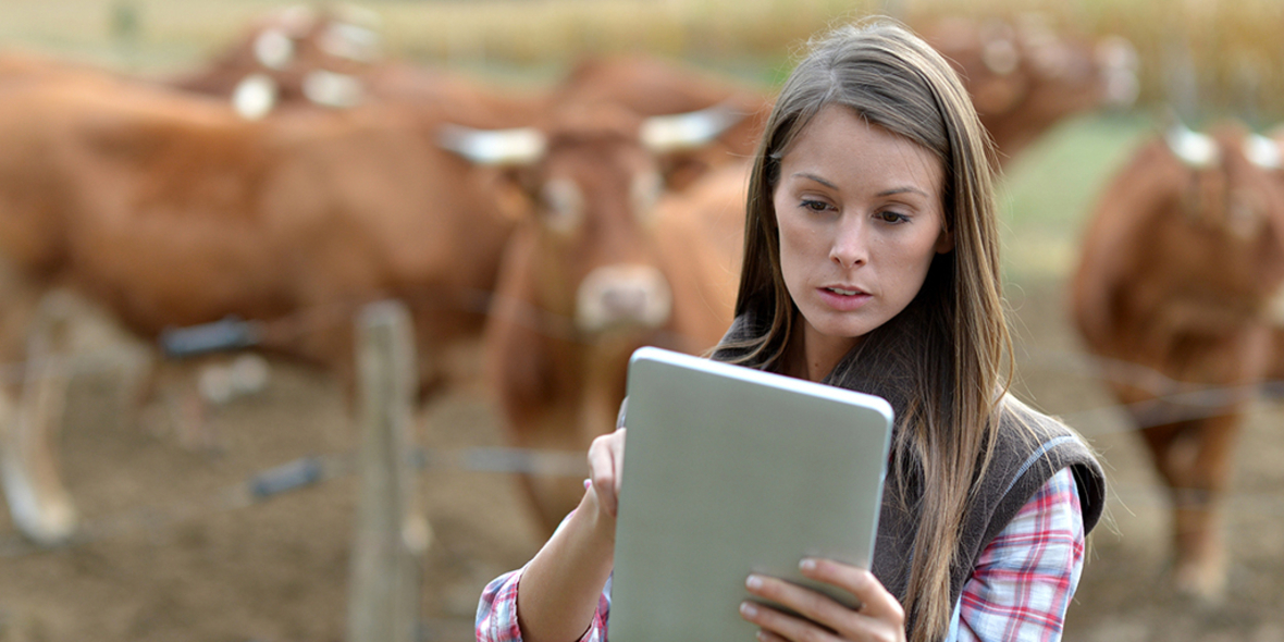 Nachhaltigkeitsgarant KI?