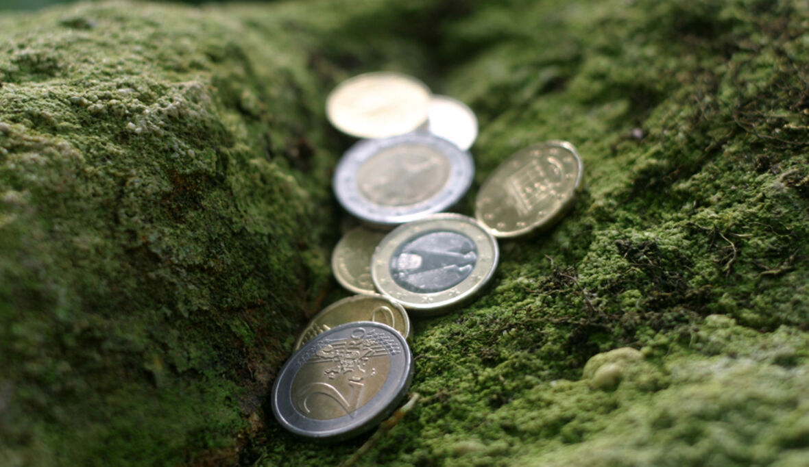 Im Dilemma zwischen Wachstum und Nachhaltigkeit