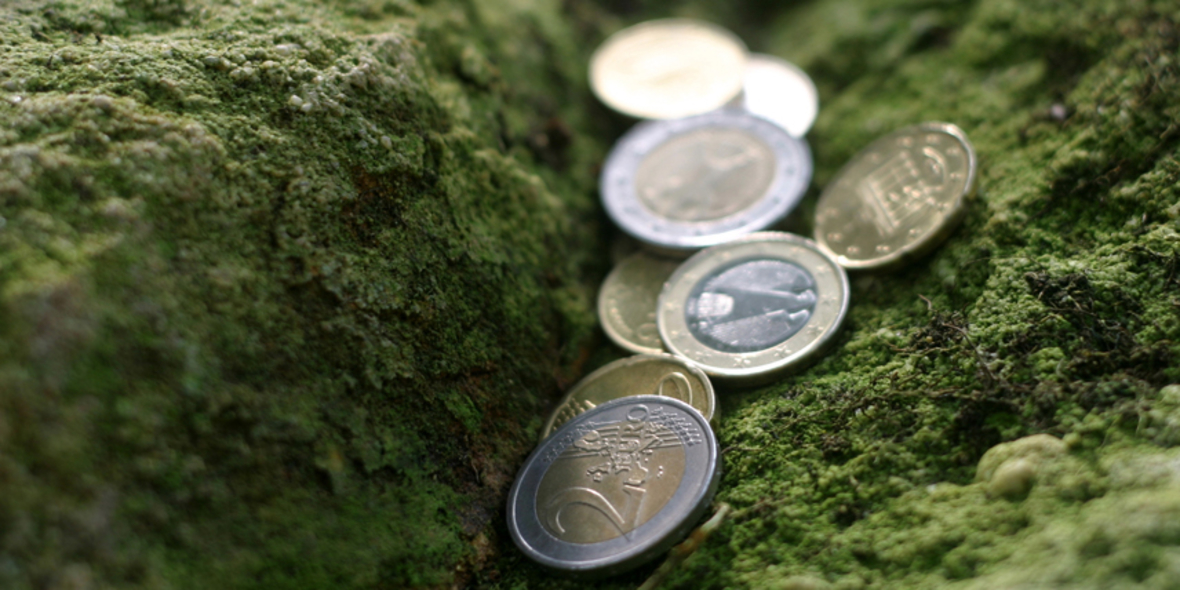 Divestment-Summen in den letzten 15 Monaten verdoppelt