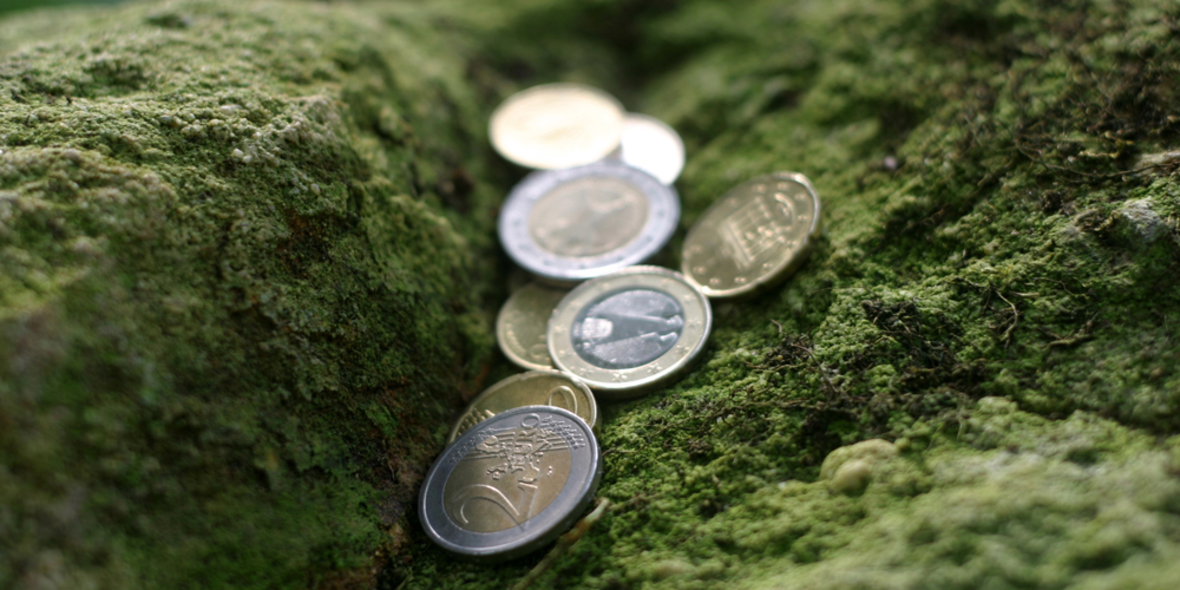 Privatinvestitionen für das Klima?