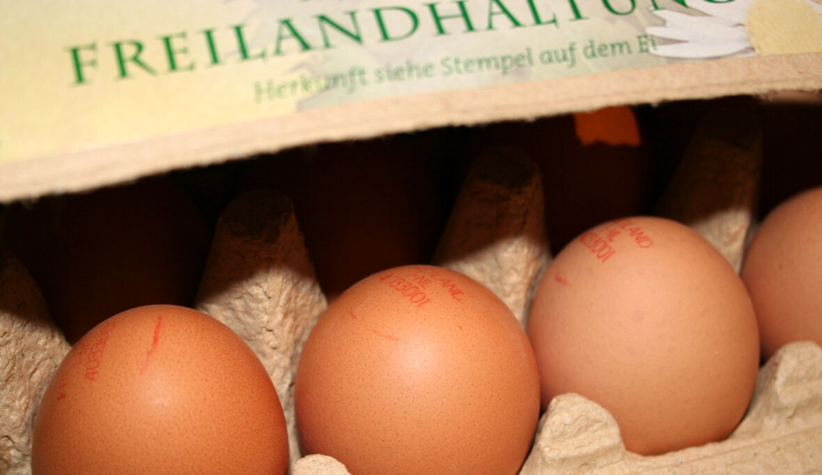 Eier aus Freilandhaltung - häufig eine Mogelpackung