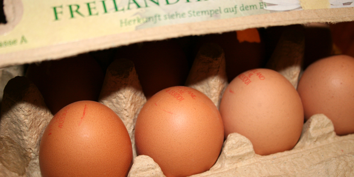  Nach Ostern: Tipps zum sinnvollen Umgang mit Eierschätzen
