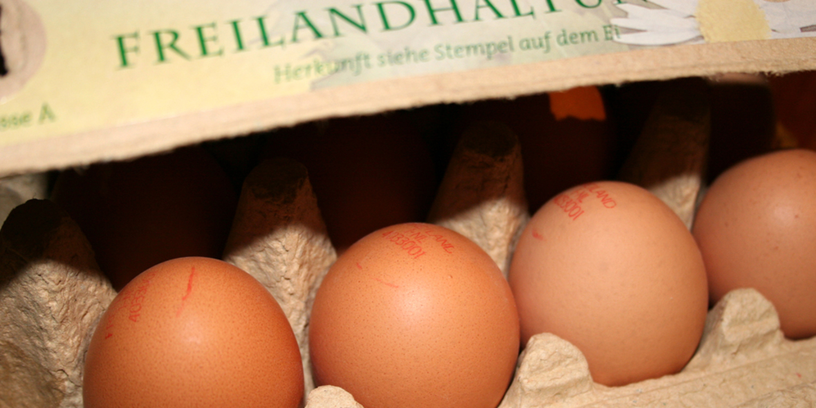McDonald’s Deutschland weitet Einsatz von Freilandeiern in seinen Produkten aus