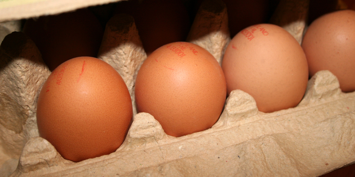 Eier aus Käfighaltung in verarbeiteten Produkten enthalten