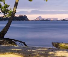 Aus Fischern werden Retter: Wie Rios verschmutzte Traumbucht Stück für Stück zurückerobert wird