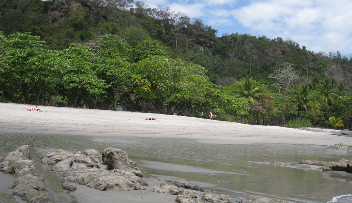 Erwärmung von Küstengewässern treibt großflächige schwüle Hitzewellen an 