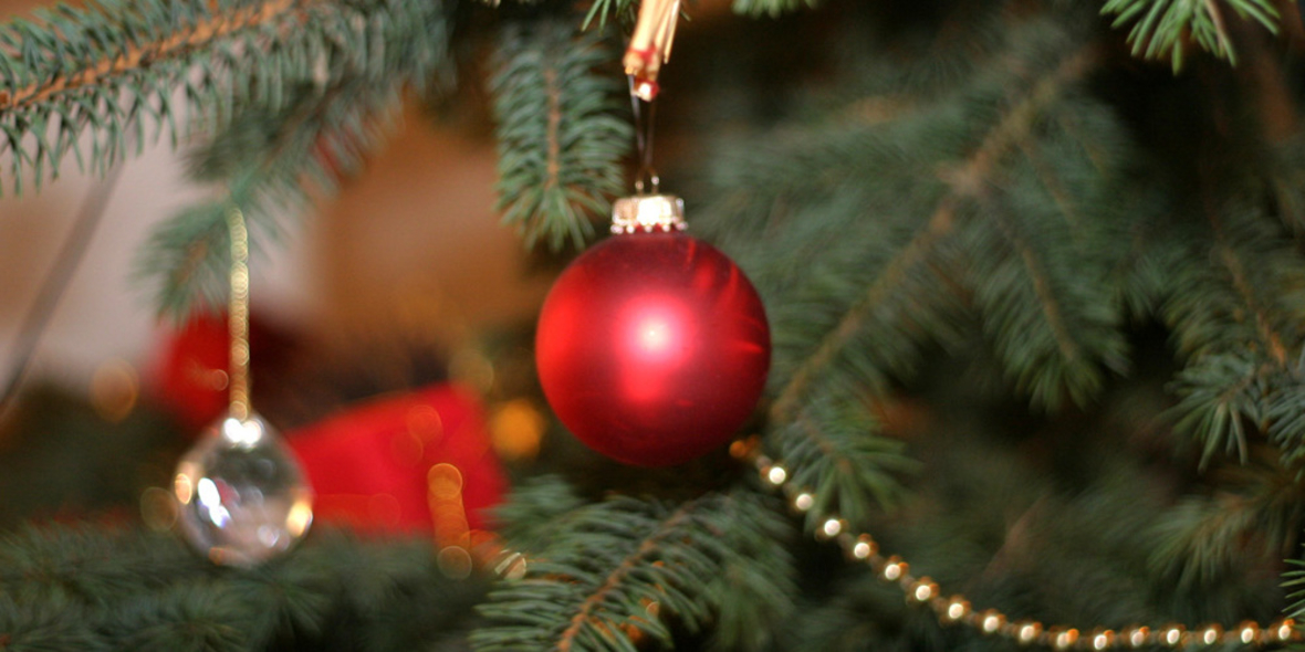 Zehn Weihnachtstipps für Weltverbesserer