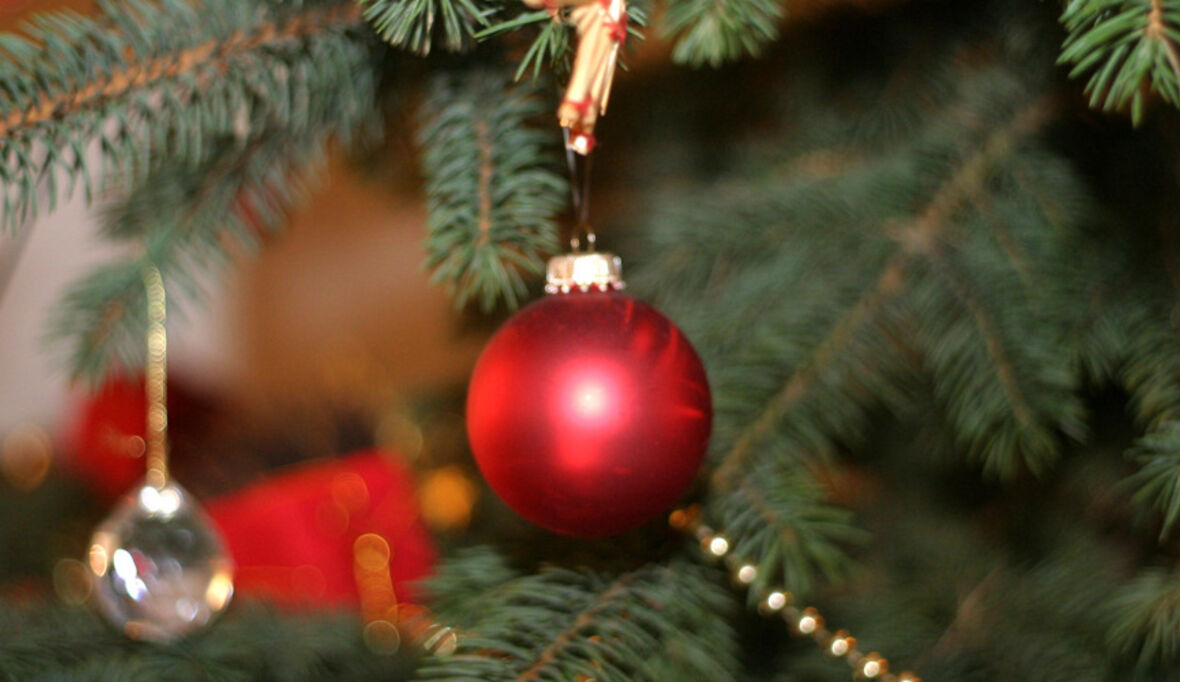 Elf Tipps für nachhaltiges Schenken zu Weihnachten