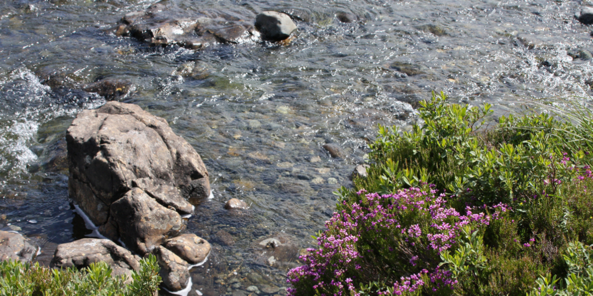 WWF veröffentlicht globalen Fluss-Report