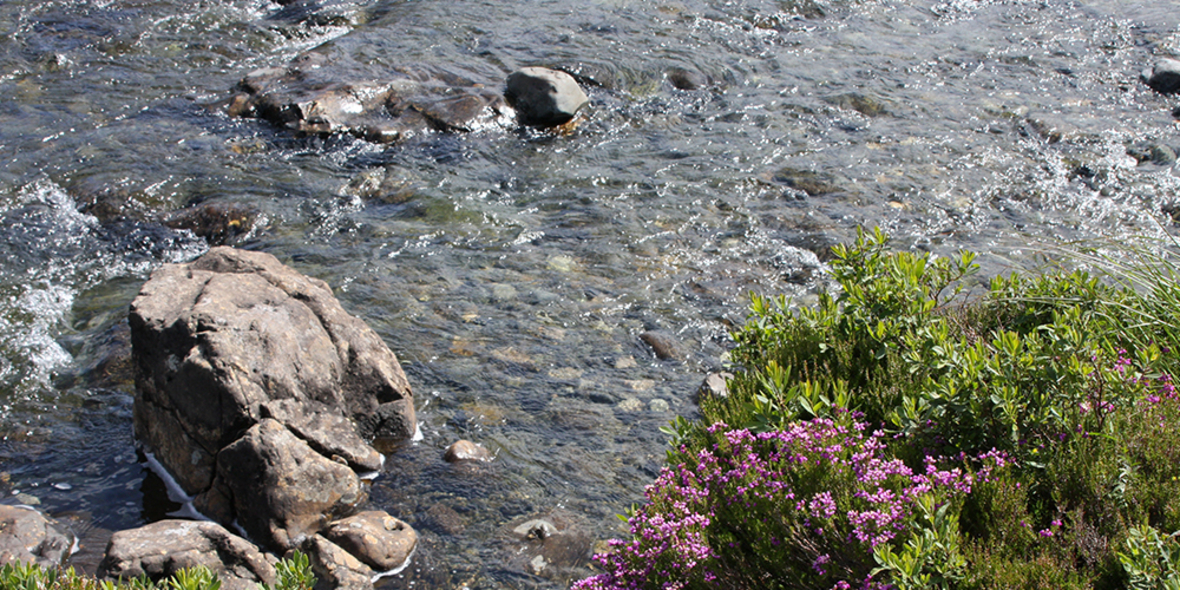 Plastikpiraten erobern deutsche Flüsse