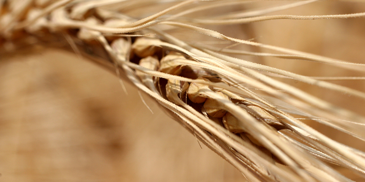 Klimawandel als Ursache von Migration