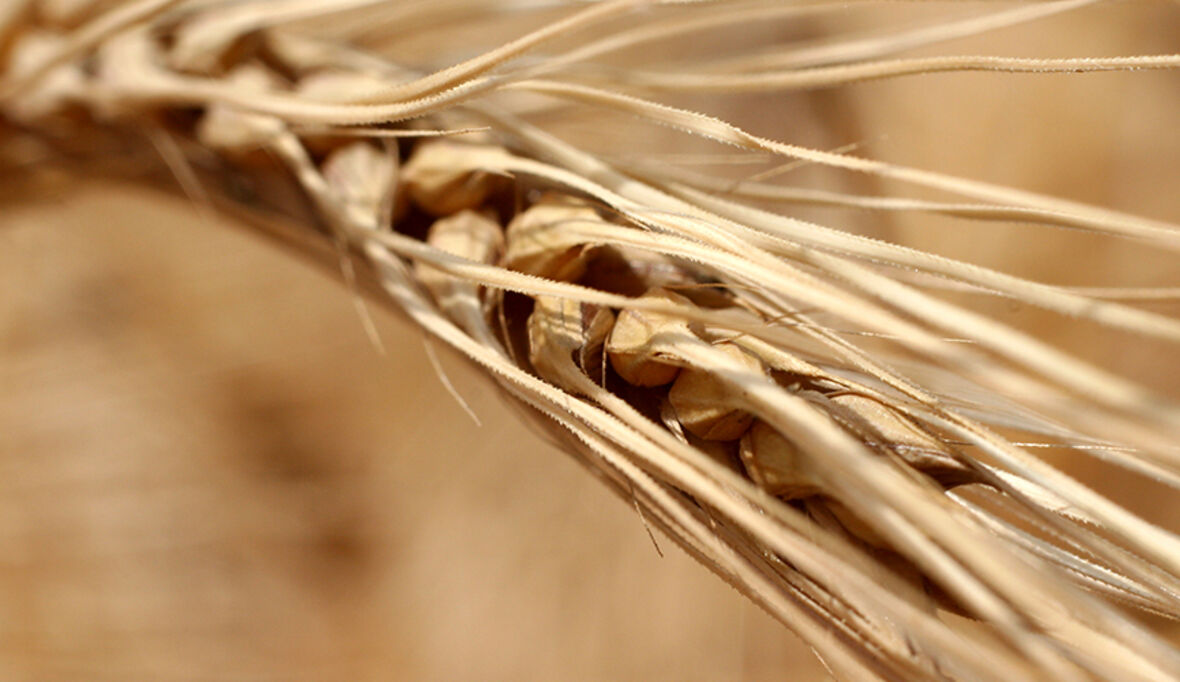 Klimawandel als Ursache von Migration