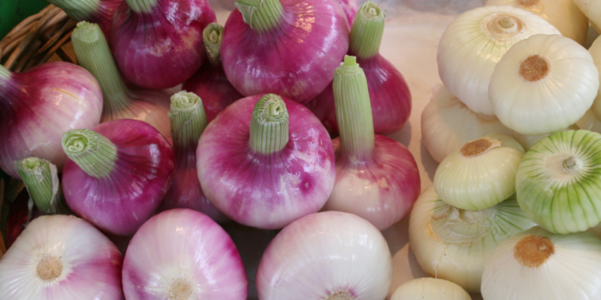  Oberhausen: Gemüse vom Dach des neuen Jobcenters