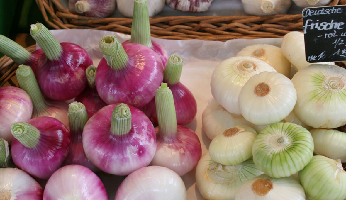 Bio wächst kräftig und steht doch vor ungewisser Zukunft