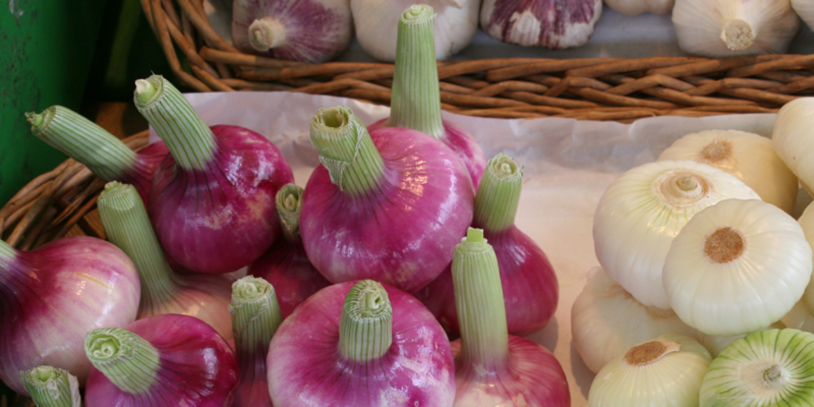"Bio kann jeder" macht Schule