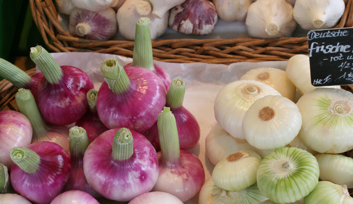 Nachhaltigkeitsrat startet Ideenwettbewerb „Esskultur und Nachhaltigkeit“