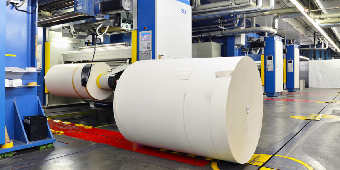 Studie zum Thema Umweltschutz: Was Bürger und Unternehmen tun wollen und können