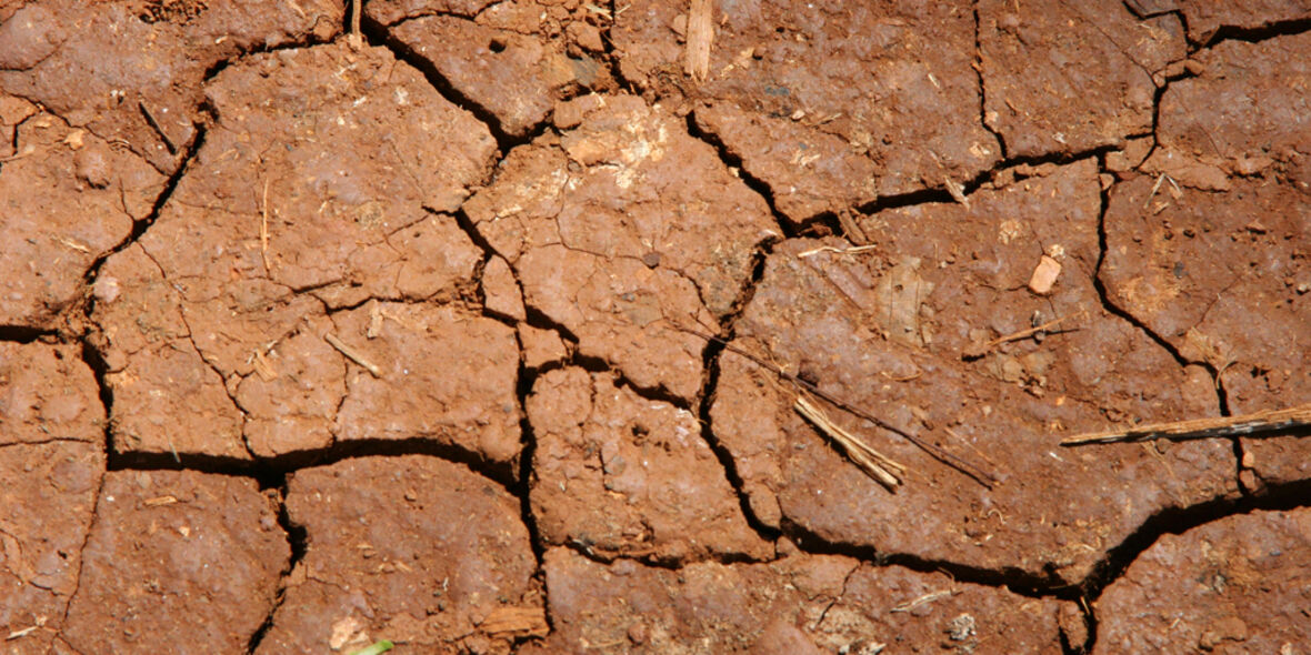 Trotz globaler Überproduktion: 295 Millionen Menschen hungern