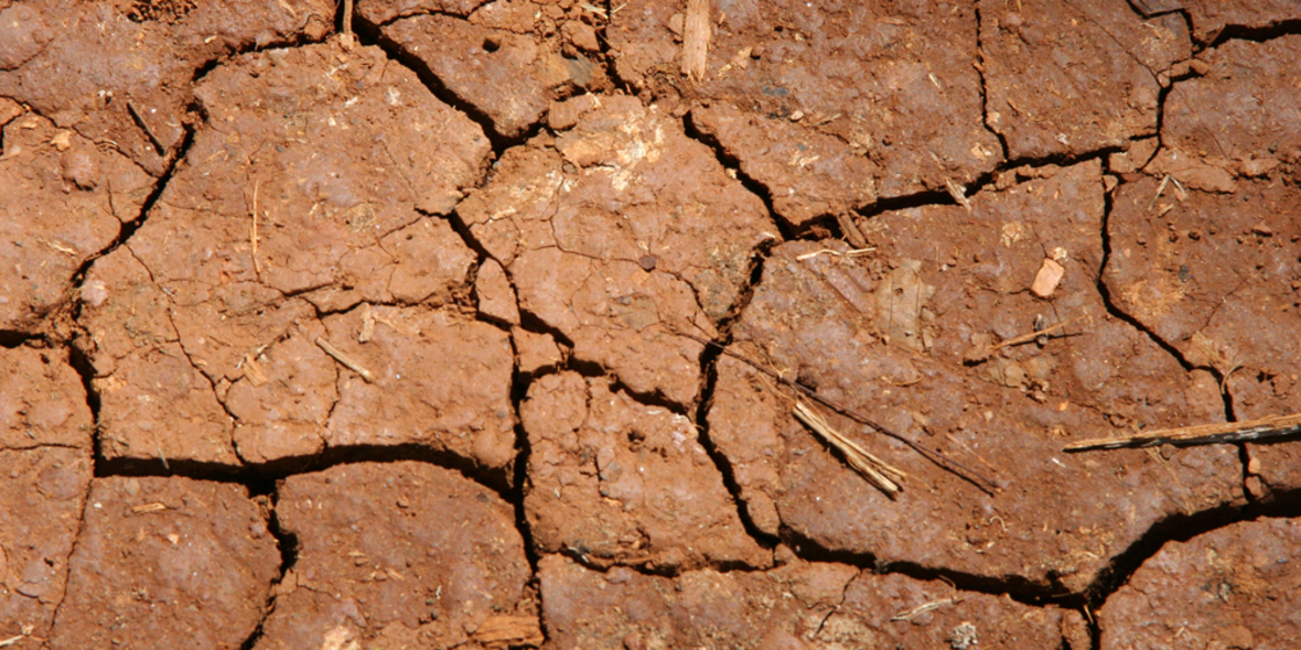 Mosambik: Dürre für Frauen ka­ta­s­t­ro­phal