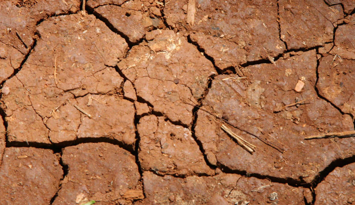 Trotz globaler Überproduktion: 295 Millionen Menschen hungern